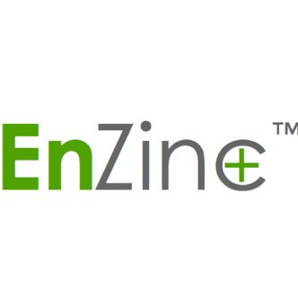 EnZinc Logo